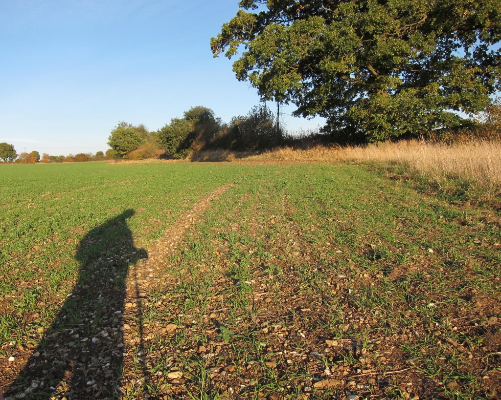 Nearing Preston I cast a long shadow