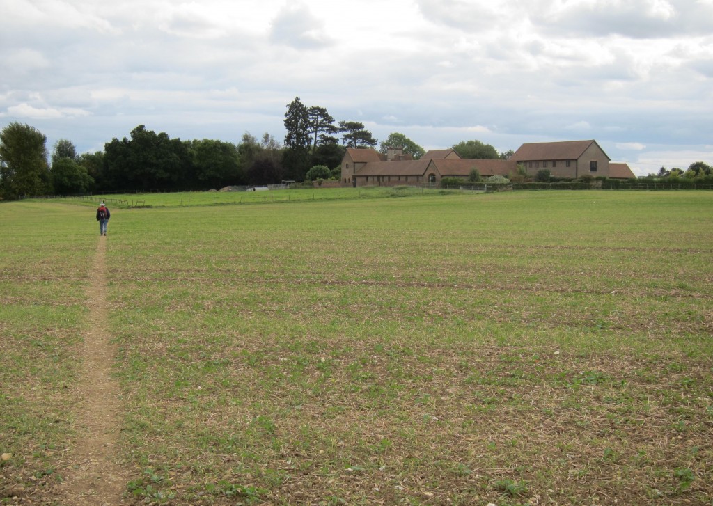 Nearing the end – Tosh passes Boxted Pig Farm.