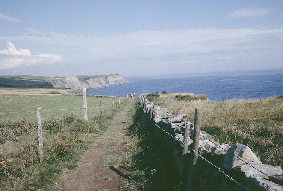 The Lees on Ness Point