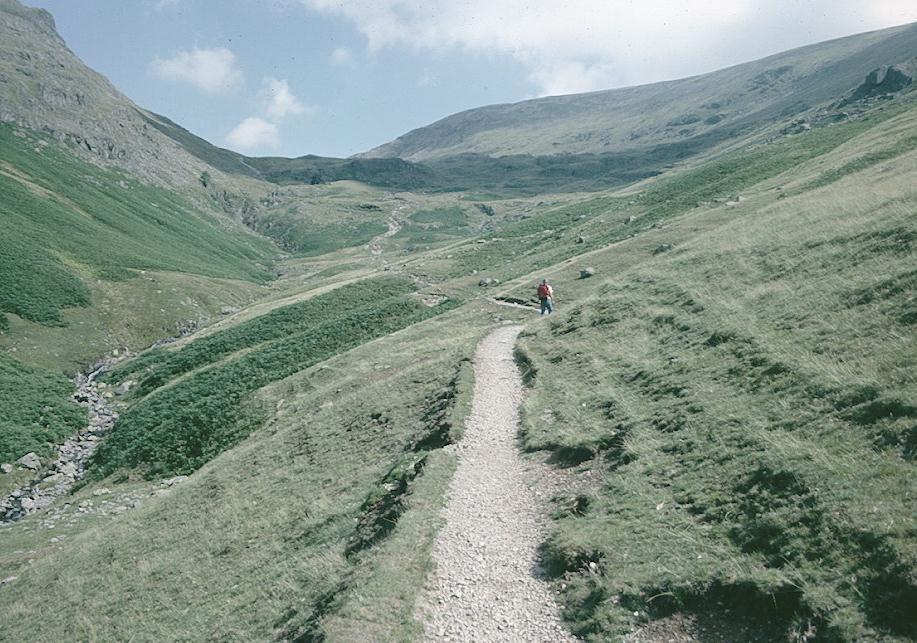 Climbing Tongue Gill