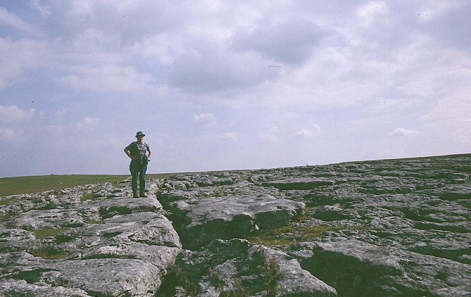 Tosh atop the limestone pavement near Oddendale