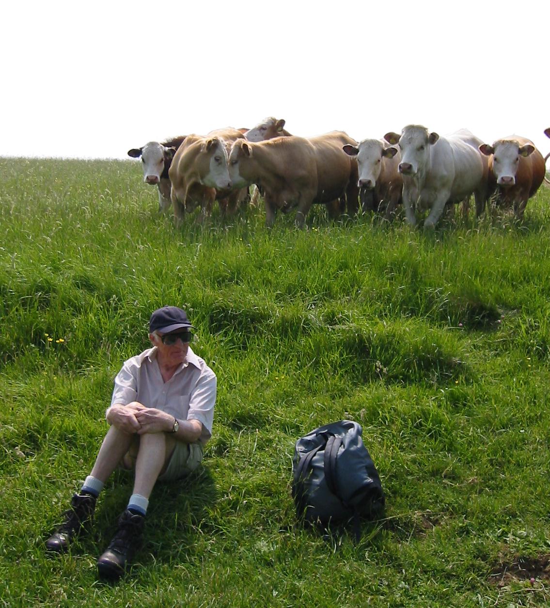cotswold-way-day11-2 cotswold-way-day11-2