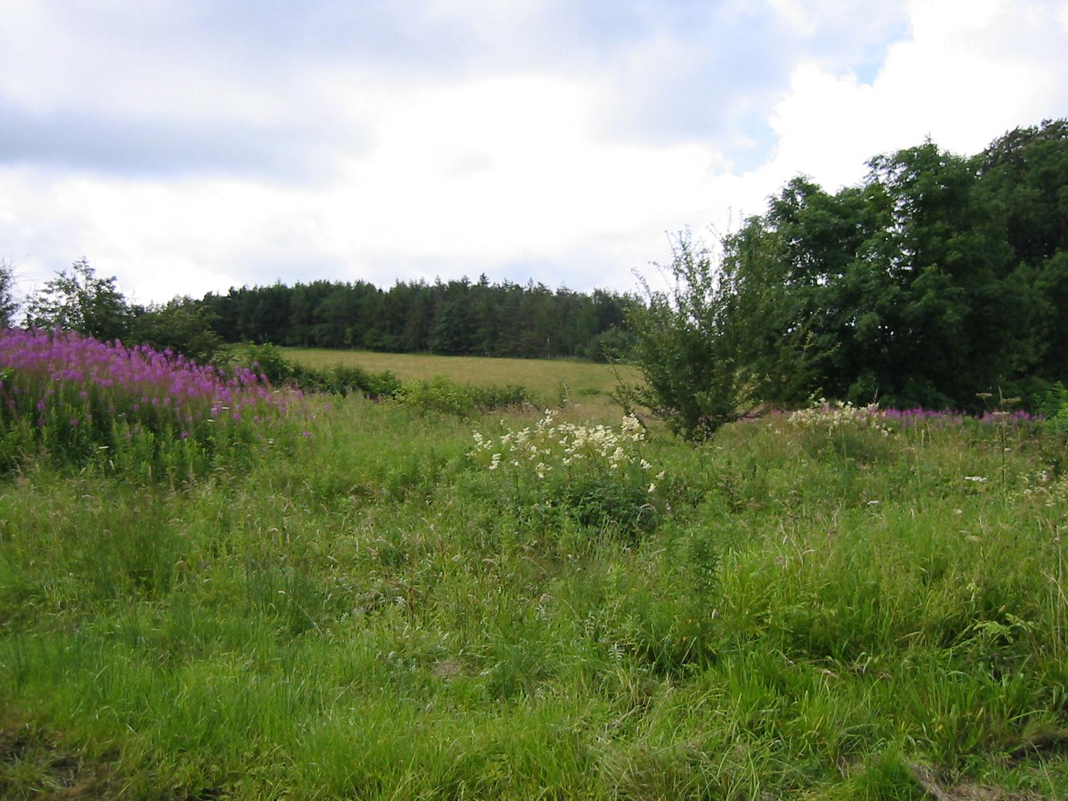 cumberland-way-day7-2 cumberland-way-day7-2