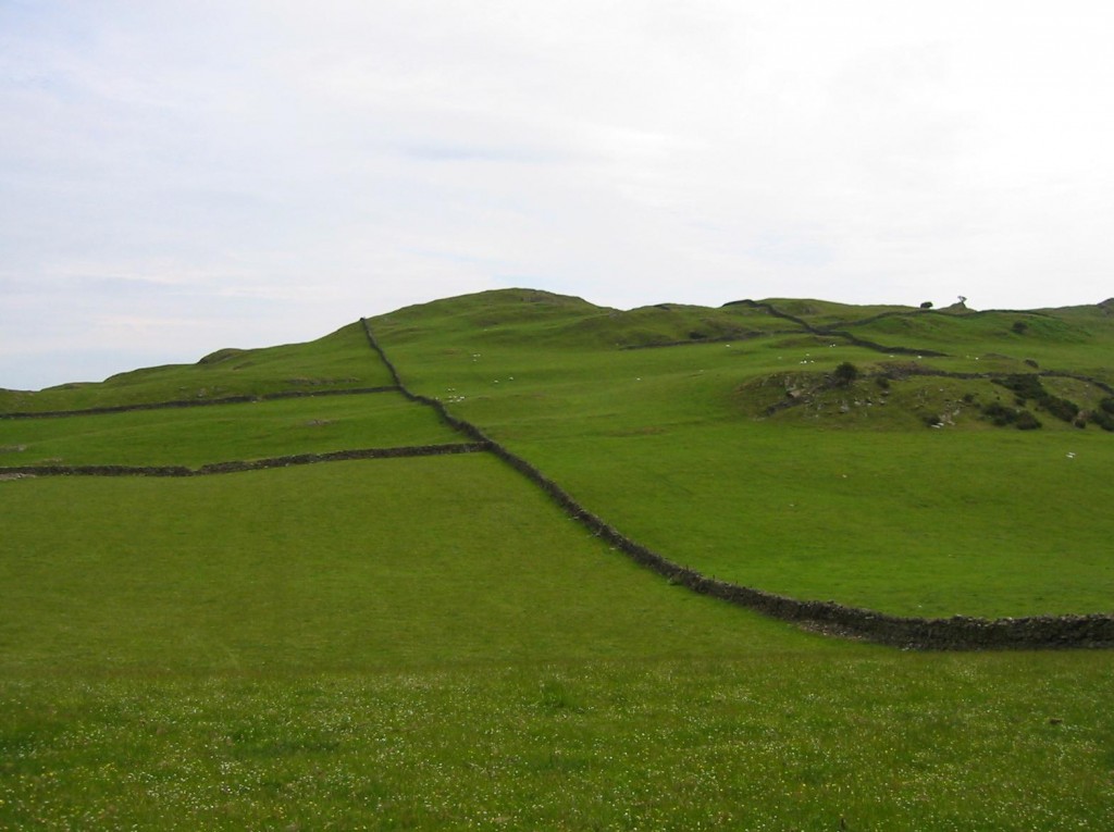 Stone walls near Fell Plain Farm