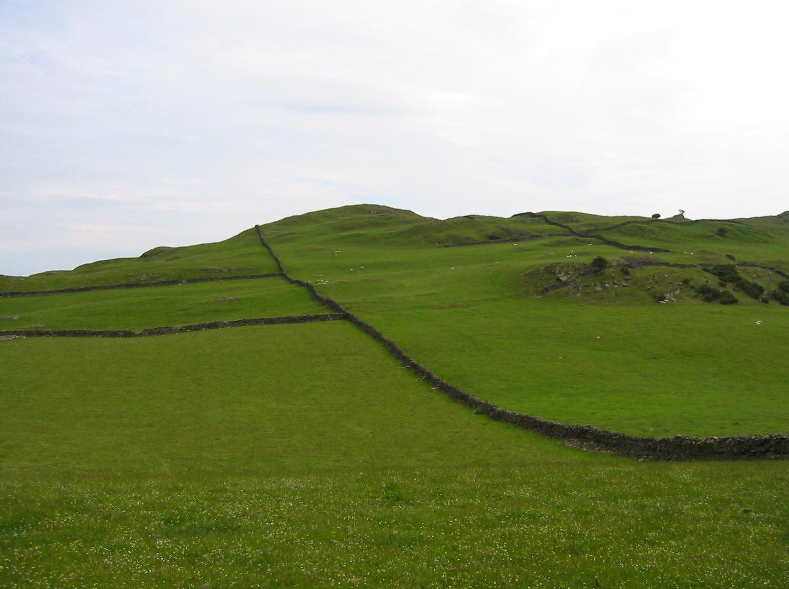 Stone walls near Fell Plain Farm