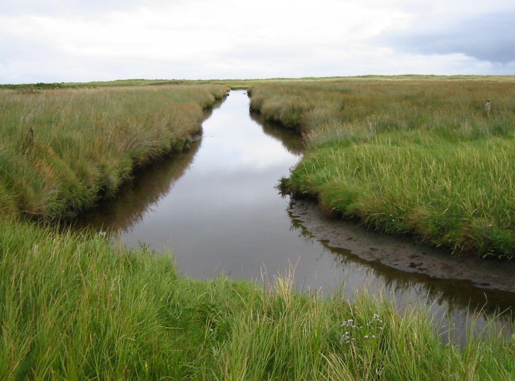 Canal to the north of Castlegregory