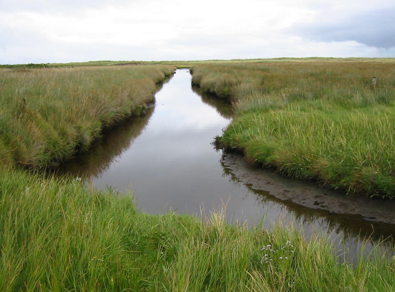 Canal to the north of Castlegregory