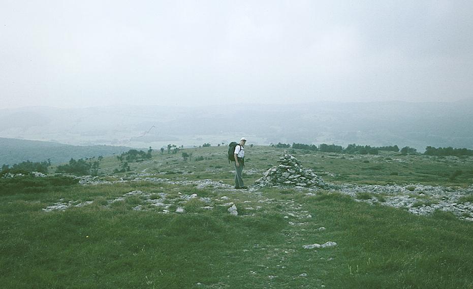 Gavan on Lord’s Seat