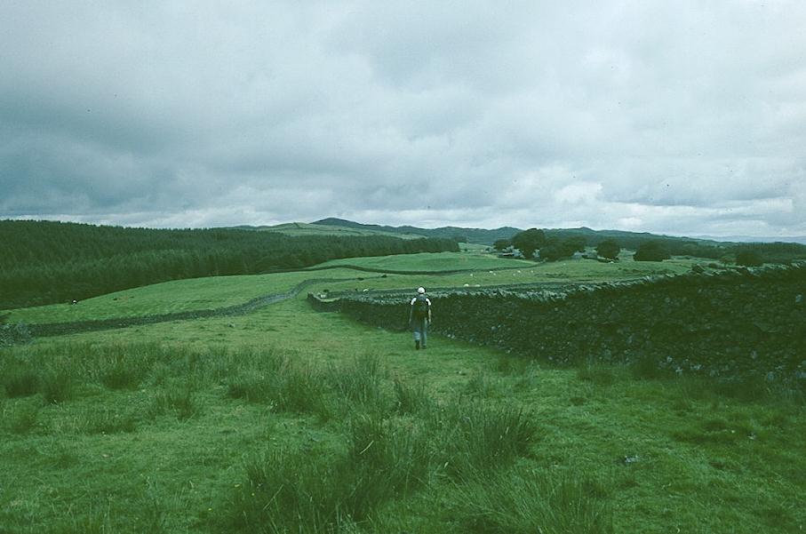 Approaching Stock Farm