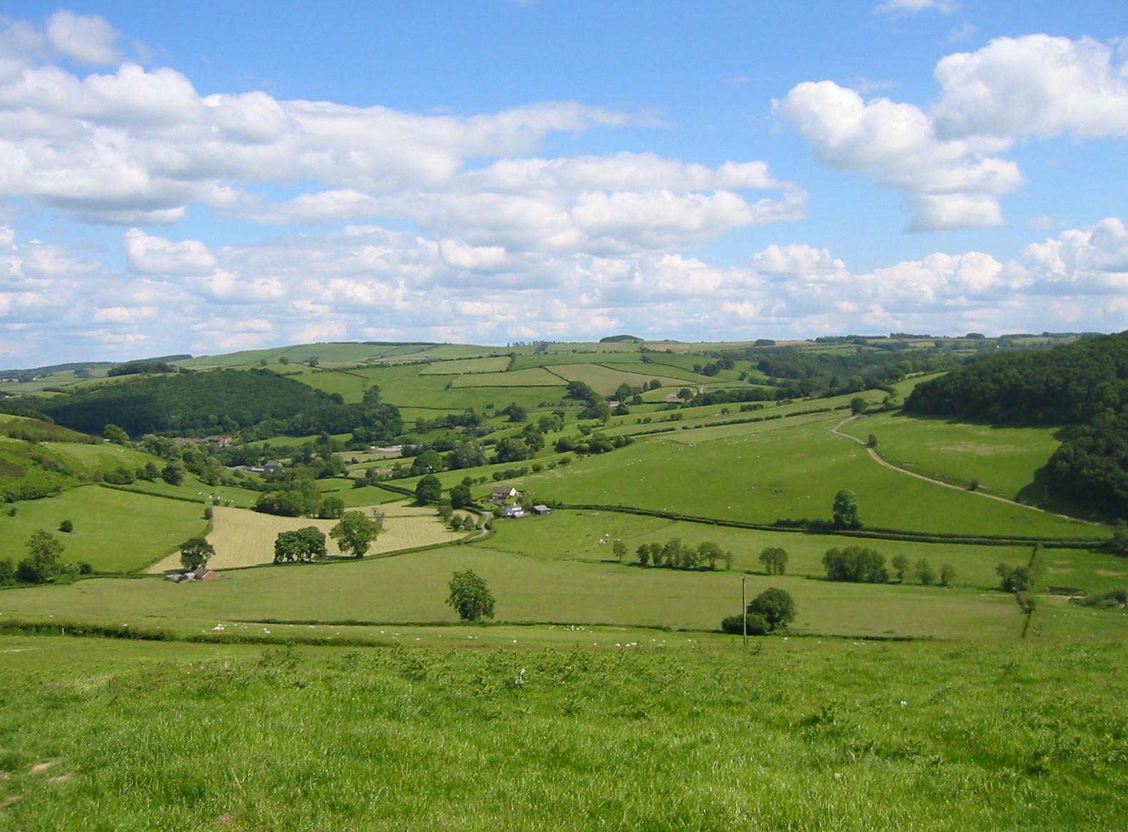 Looking southeast from the summit of Bailey Hill