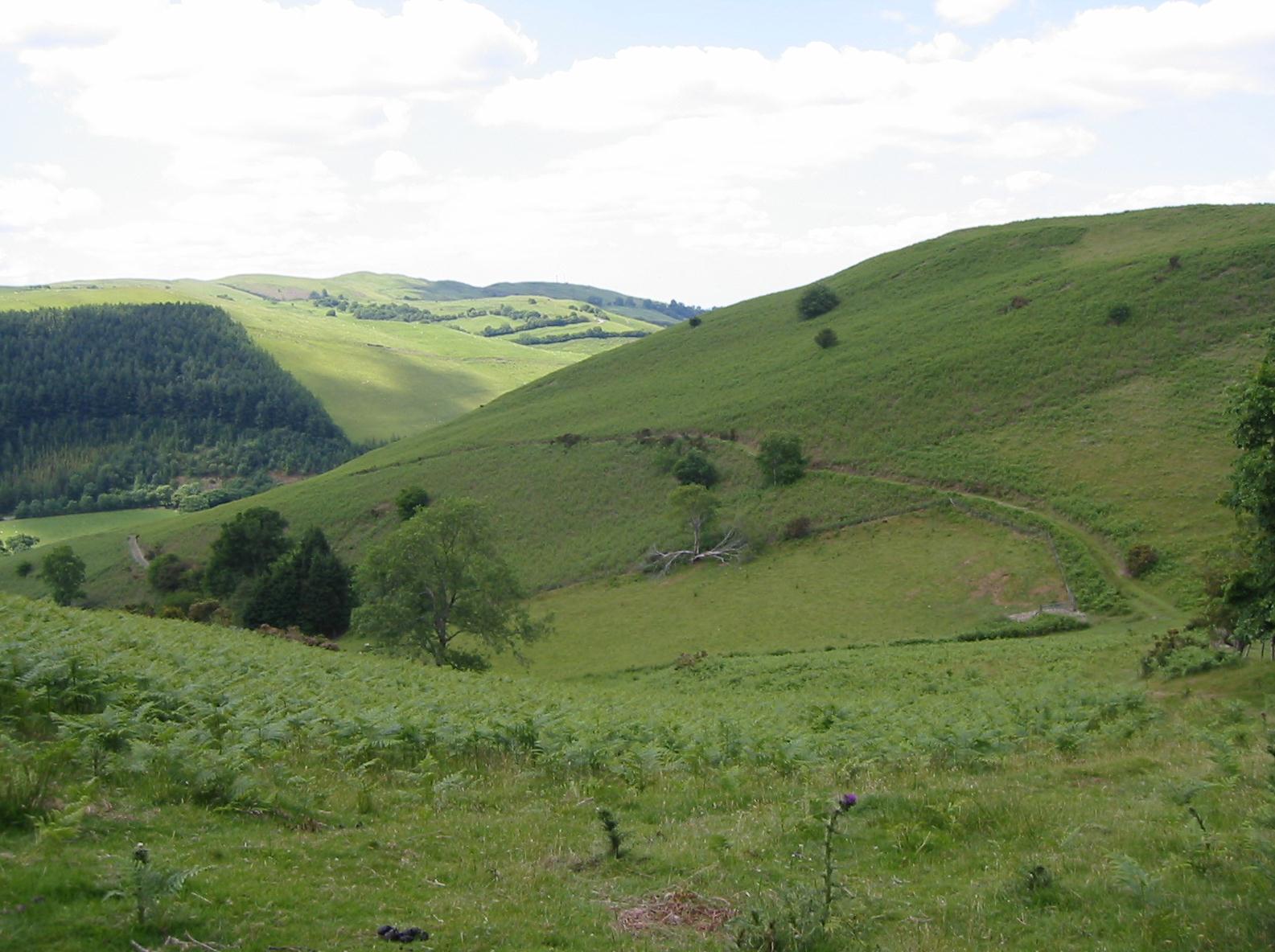 Looking southwest near Pen-y-gyrn