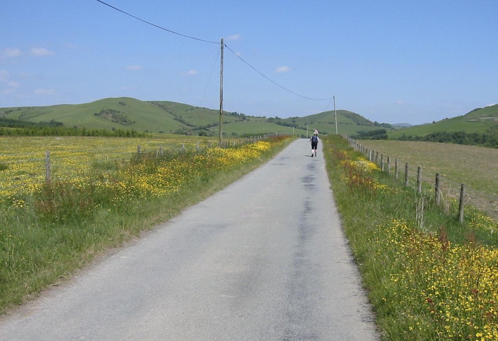 On the road to Dolwen