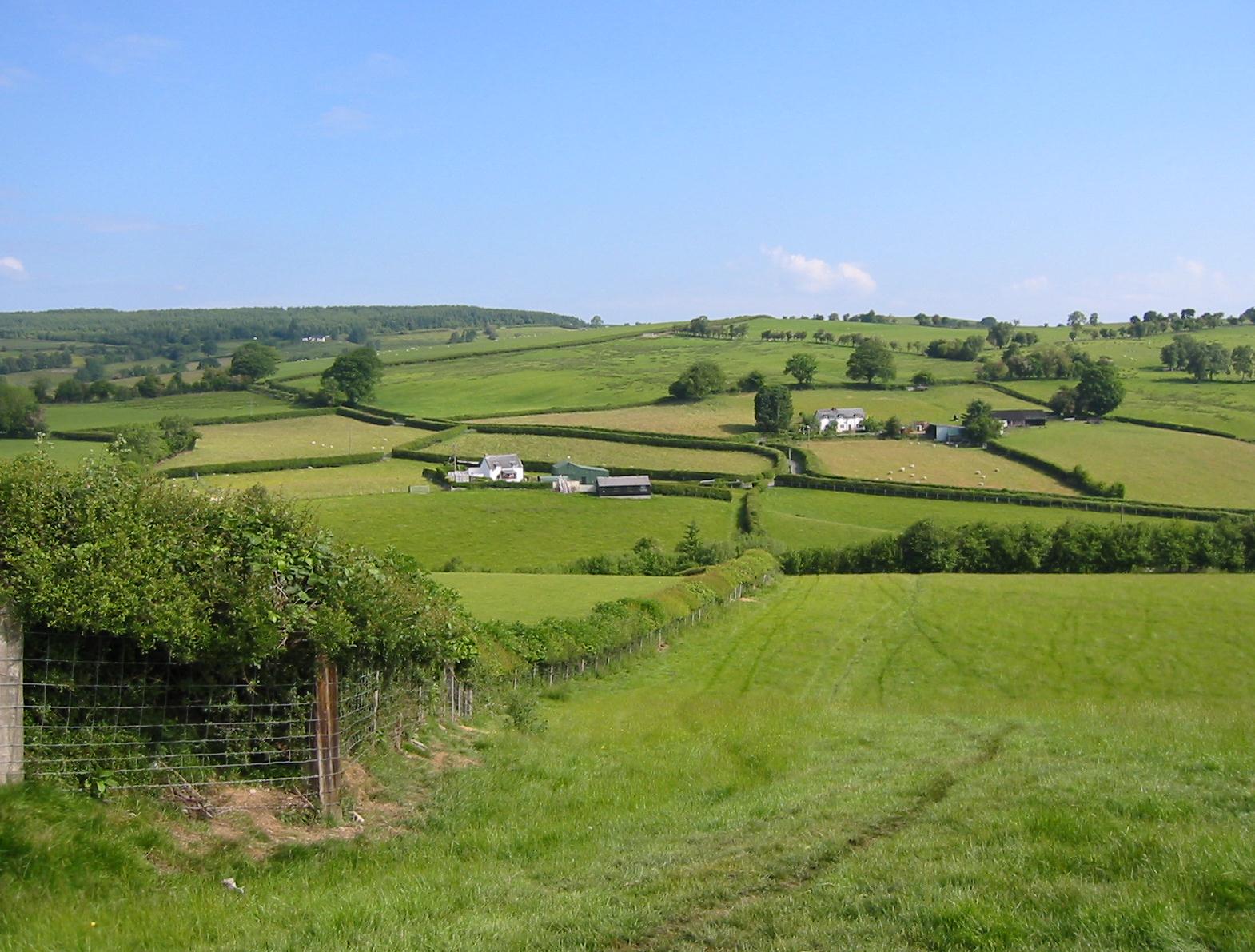 Looking north toward Pant-gwyn