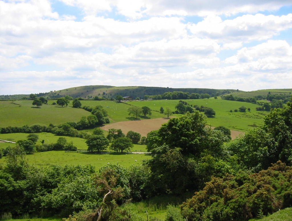 Distant view of Y Golfa