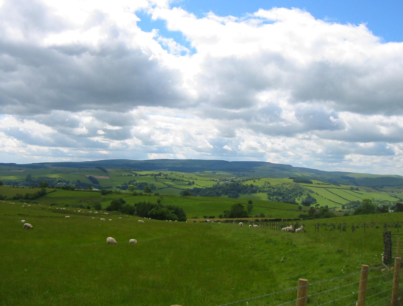 Looking south from the summit track north of Llangunllo