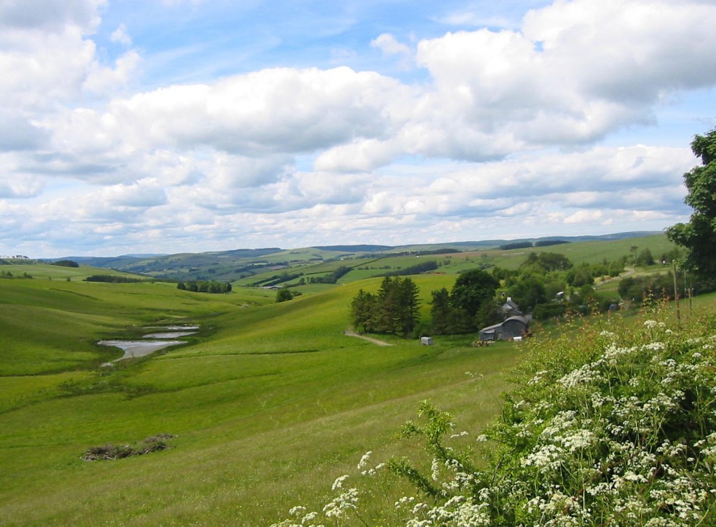 Ponds near Bryn Mawr cottage