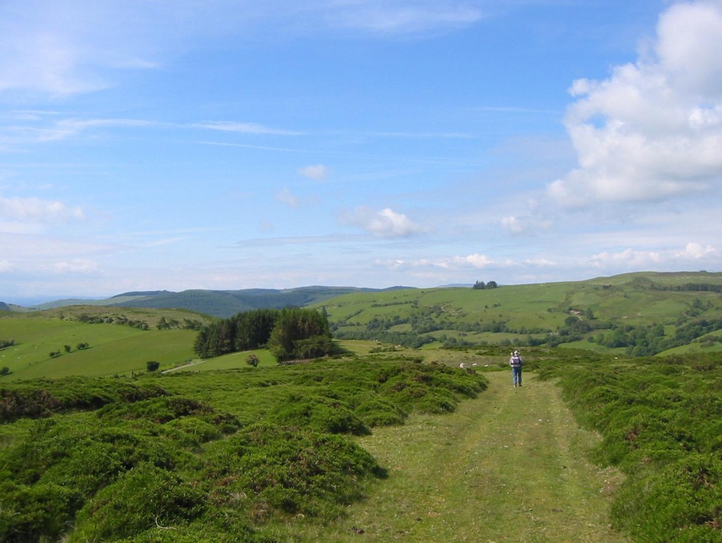 The descent from Moel Dod