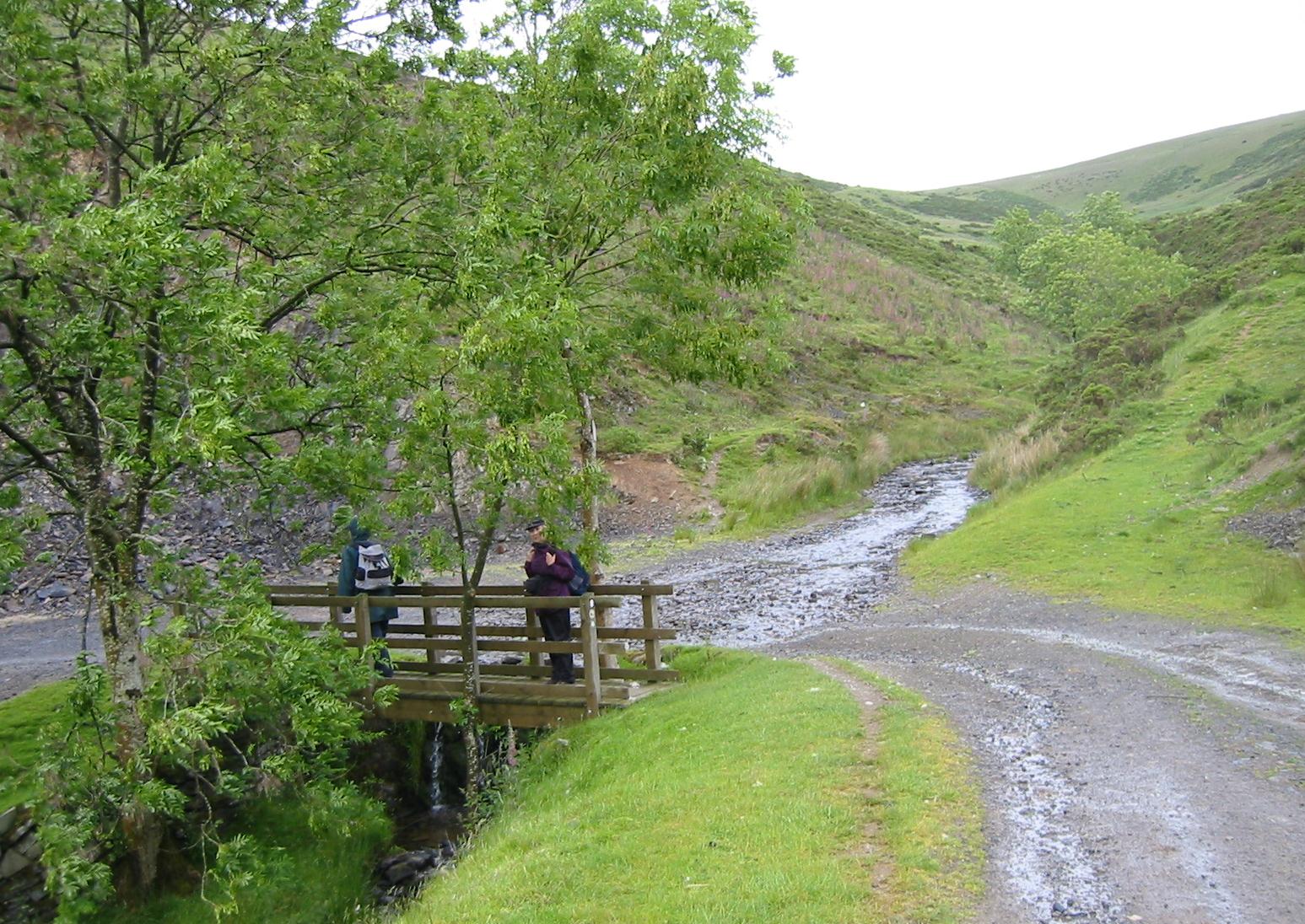 The bridge near Grach