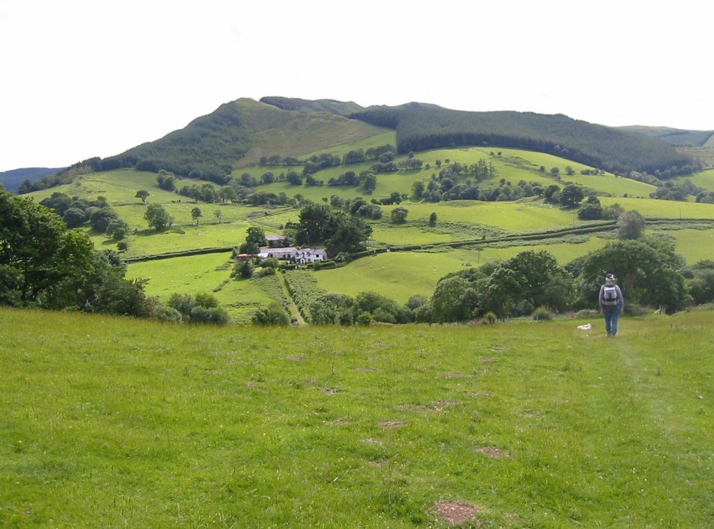 Tosh on the descent to Talbontdrain