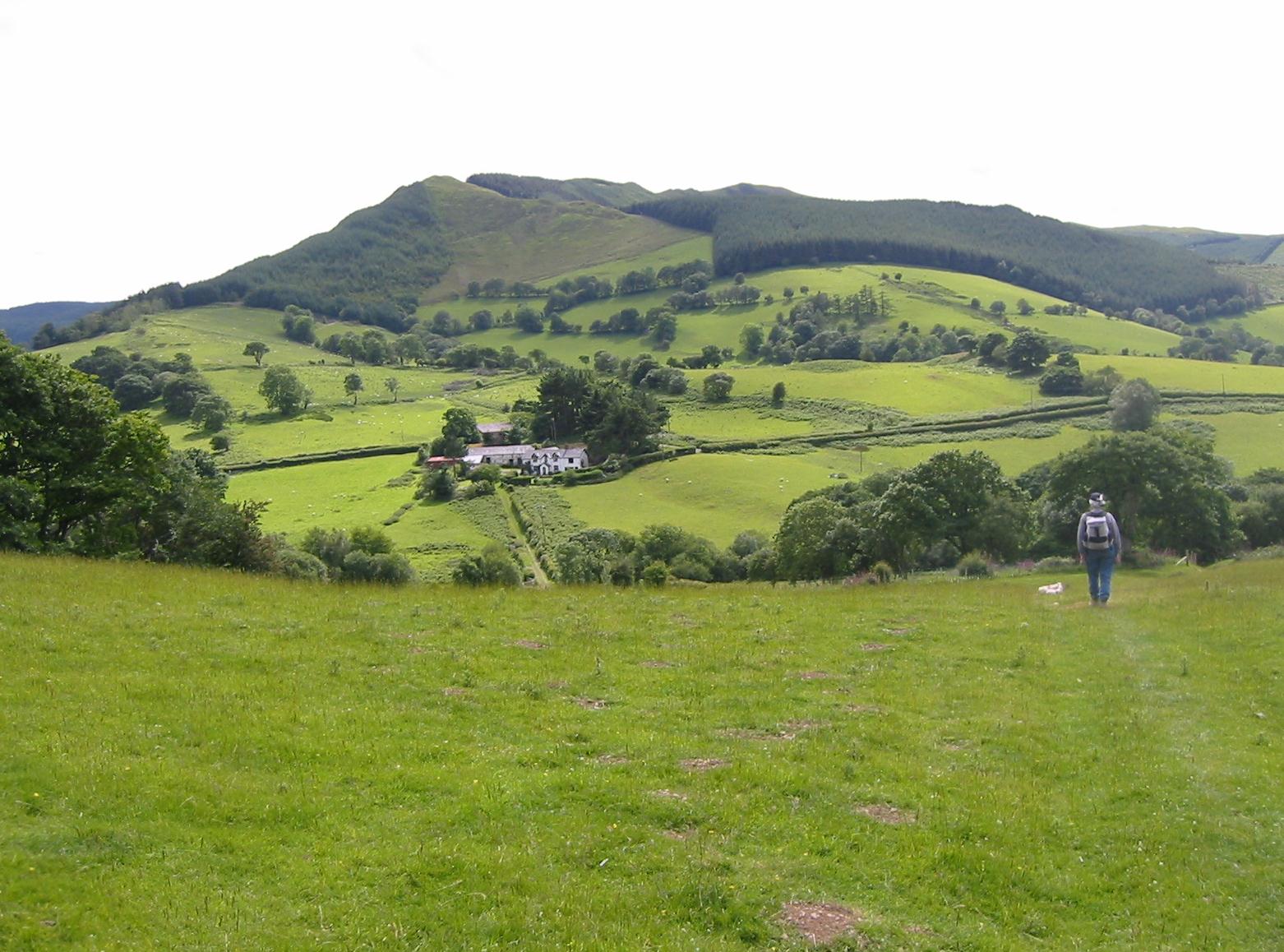 Tosh on the descent to Talbontdrain