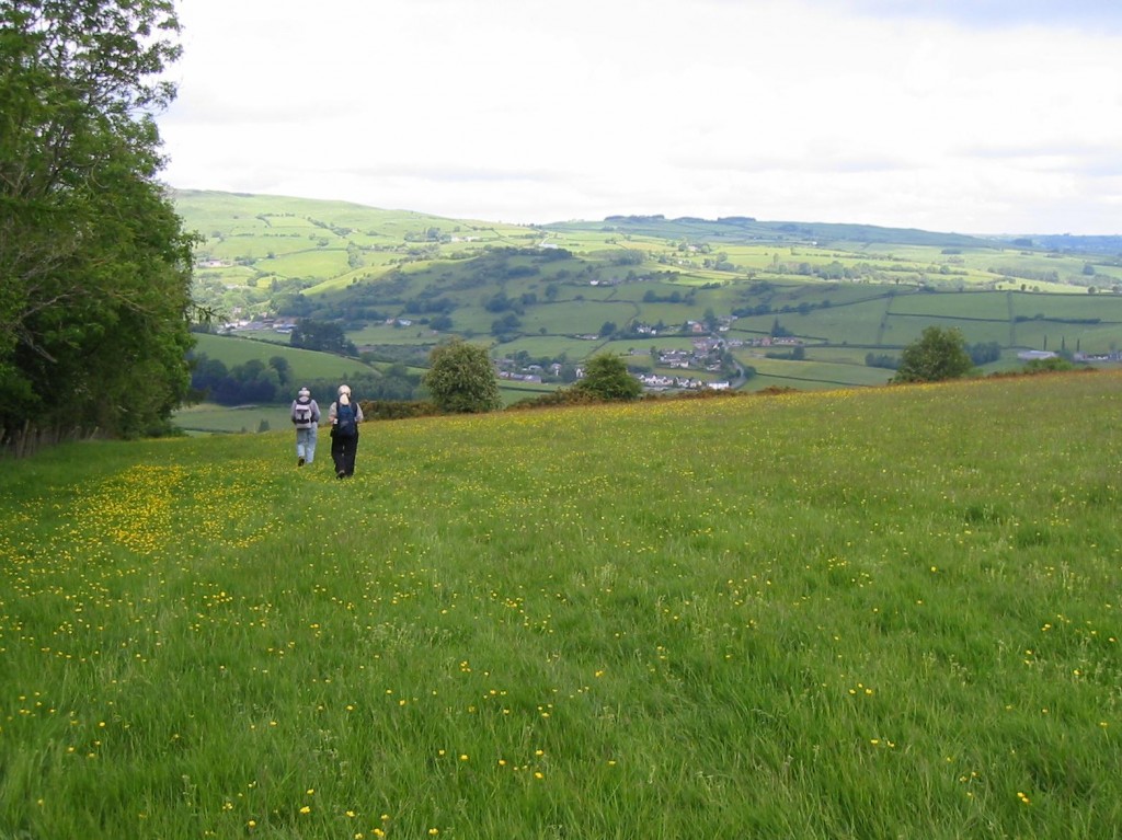 On the descent to Van