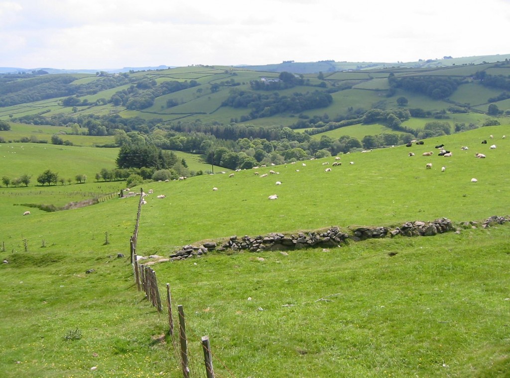 king south near Bryntail Farm