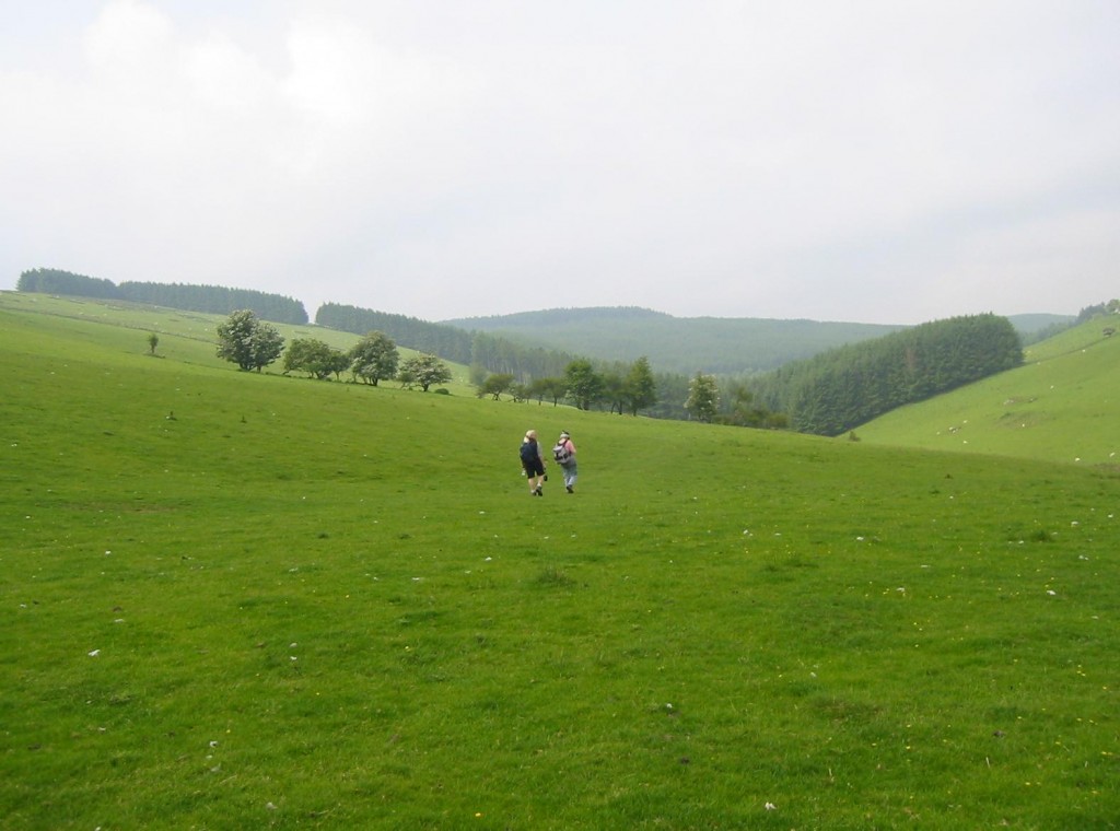 After turning our backs of the Clywedog Reservoir we approach a forestry plantation.
