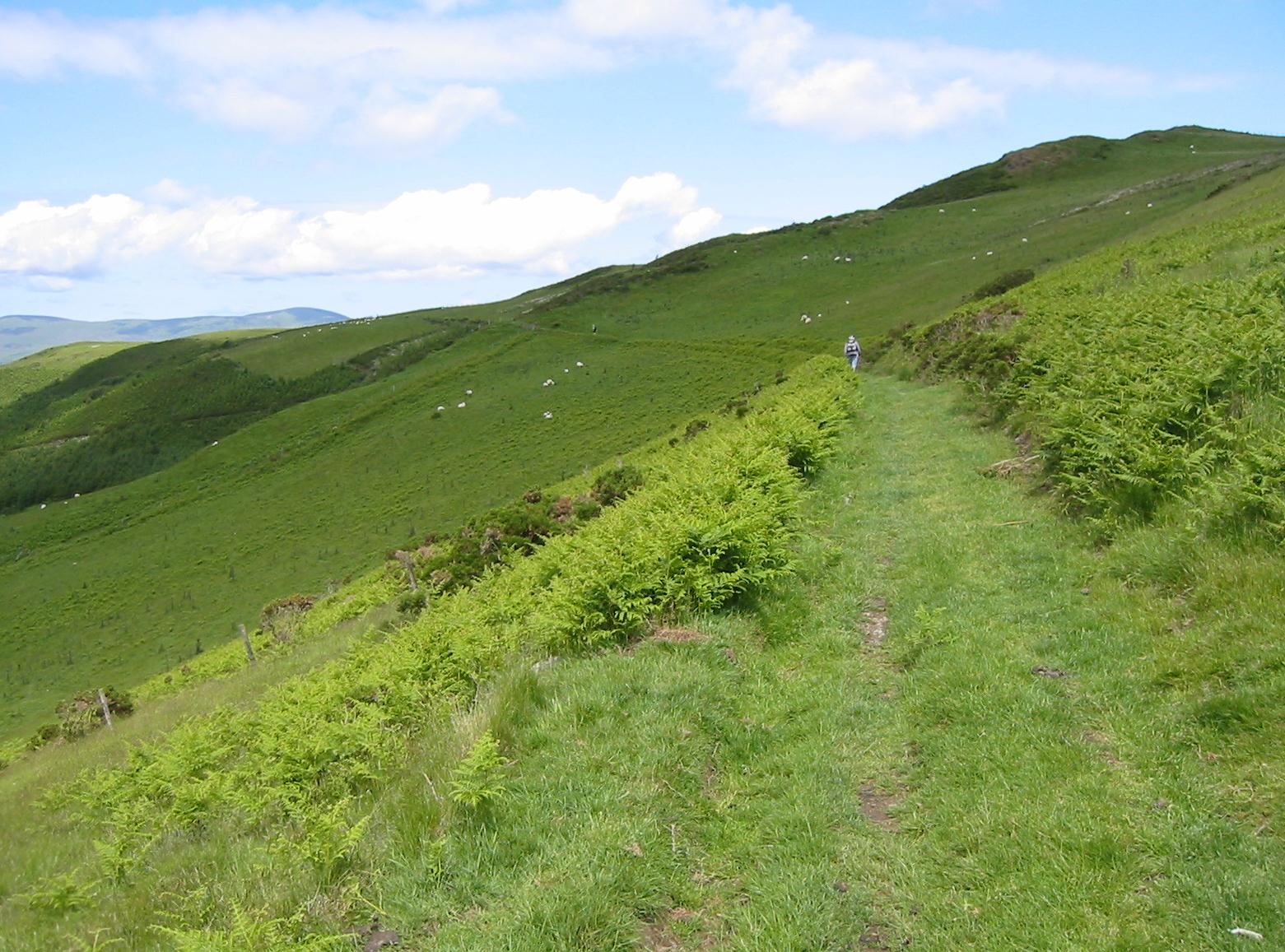 Green track above Nant cwm-cemrhiw