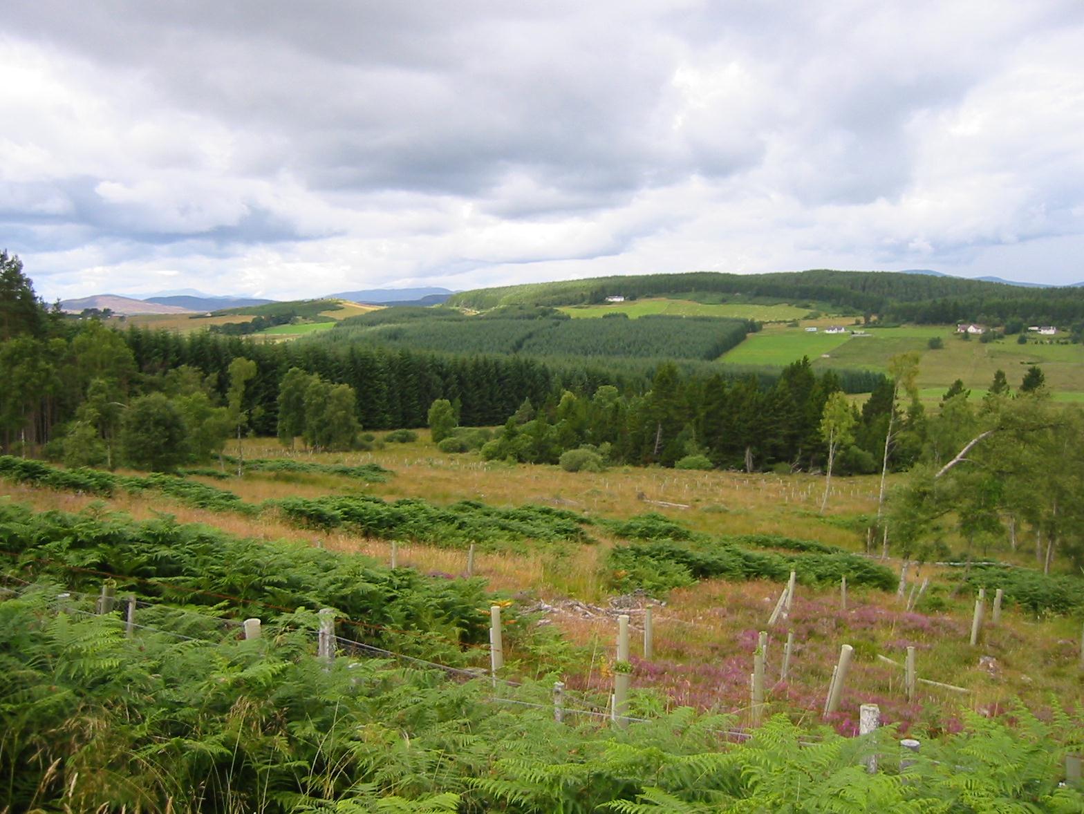 Looking west from Ladycairn