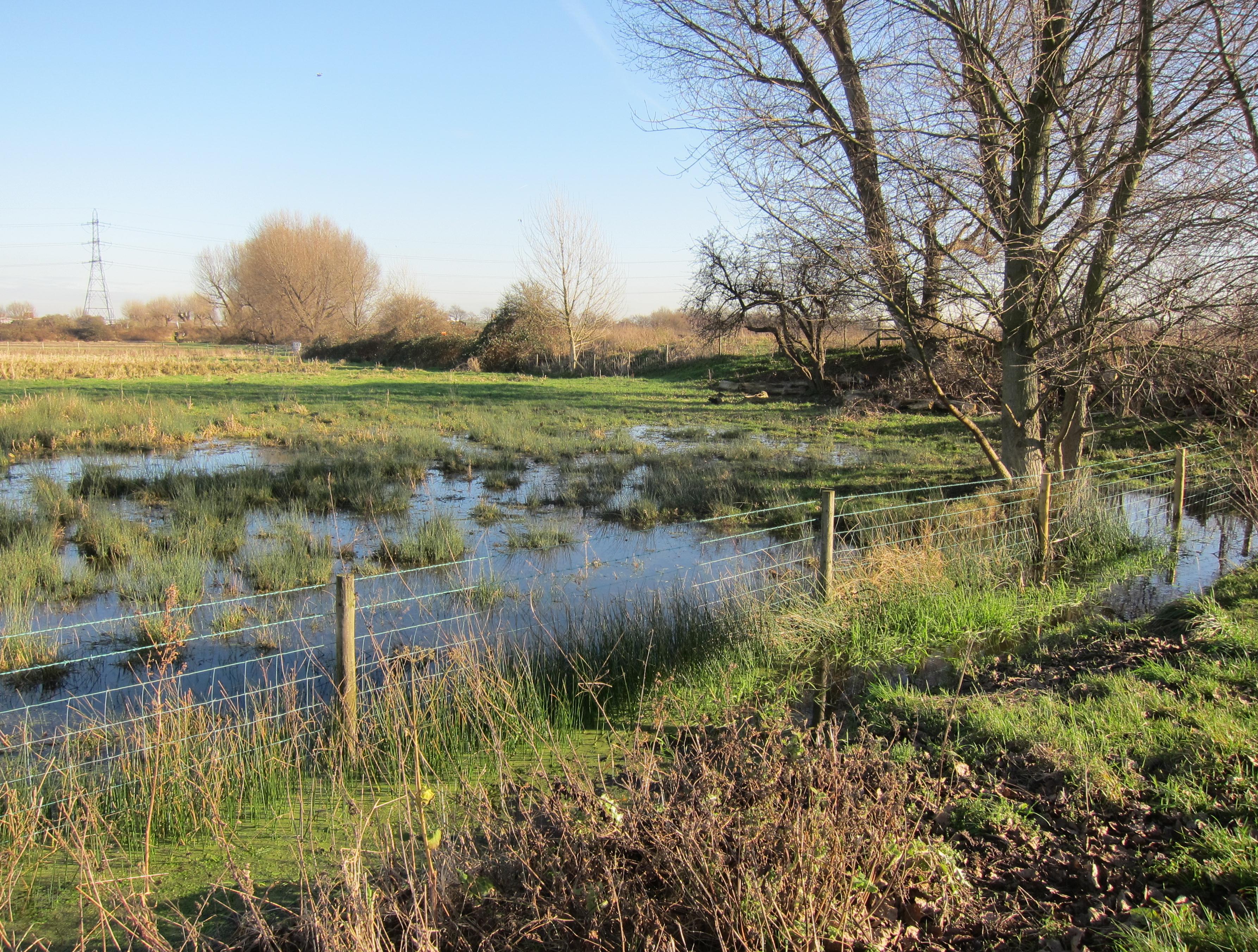 The Walthamstow Marshes
