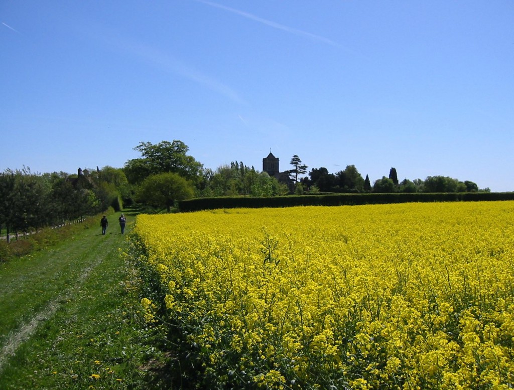Dorothy and Tosh approach Shipbourne Church