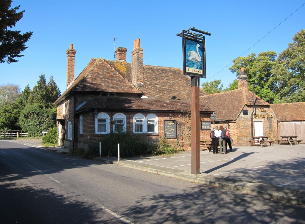 The Swan in Little Chart