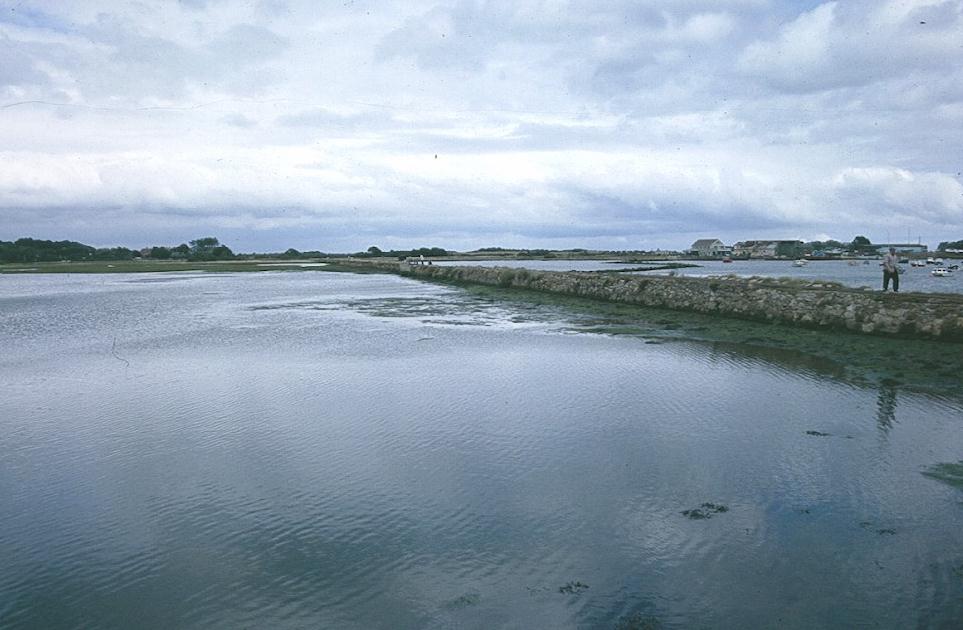 Along the causeway to The Duver