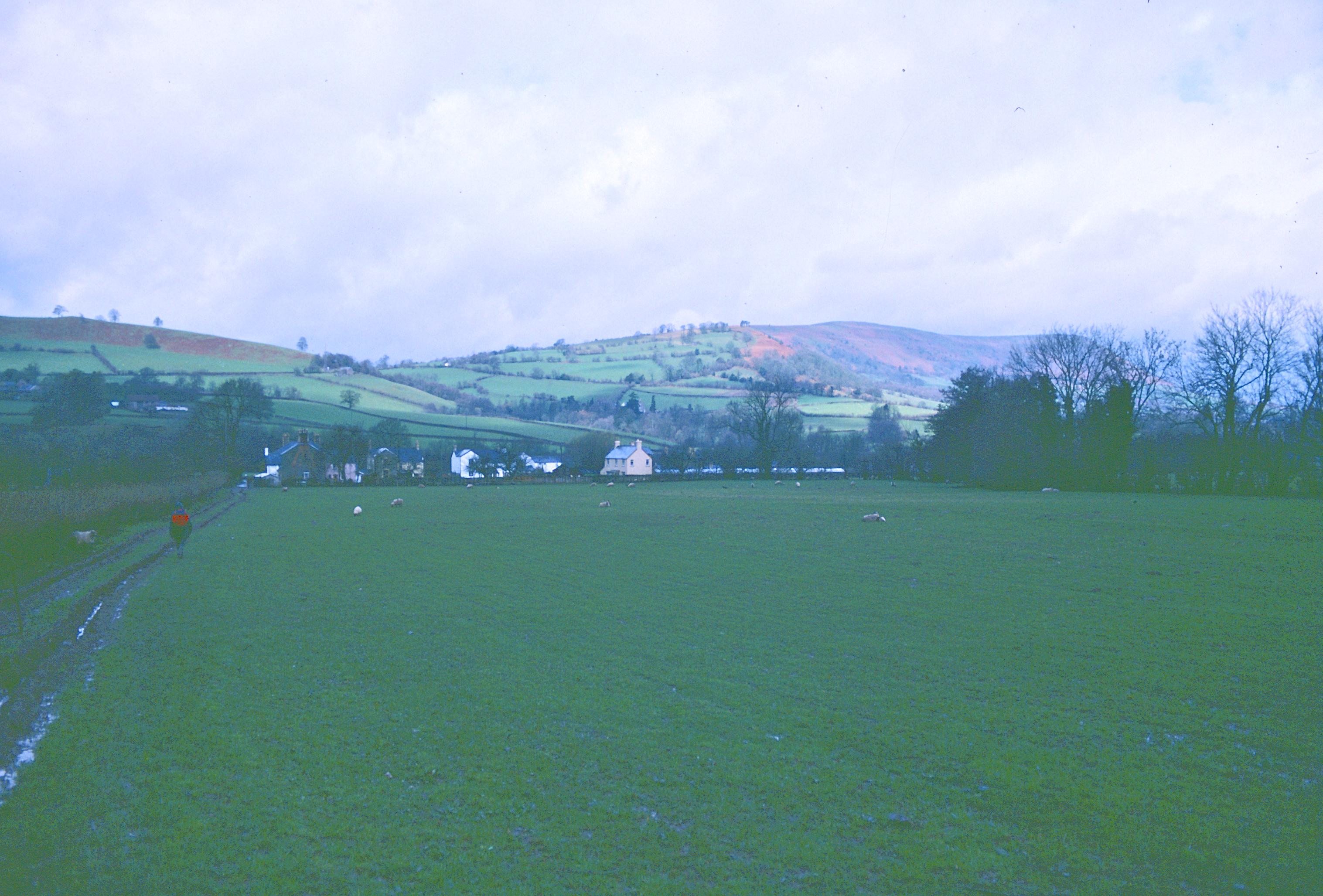 Tosh heads for Pandy.