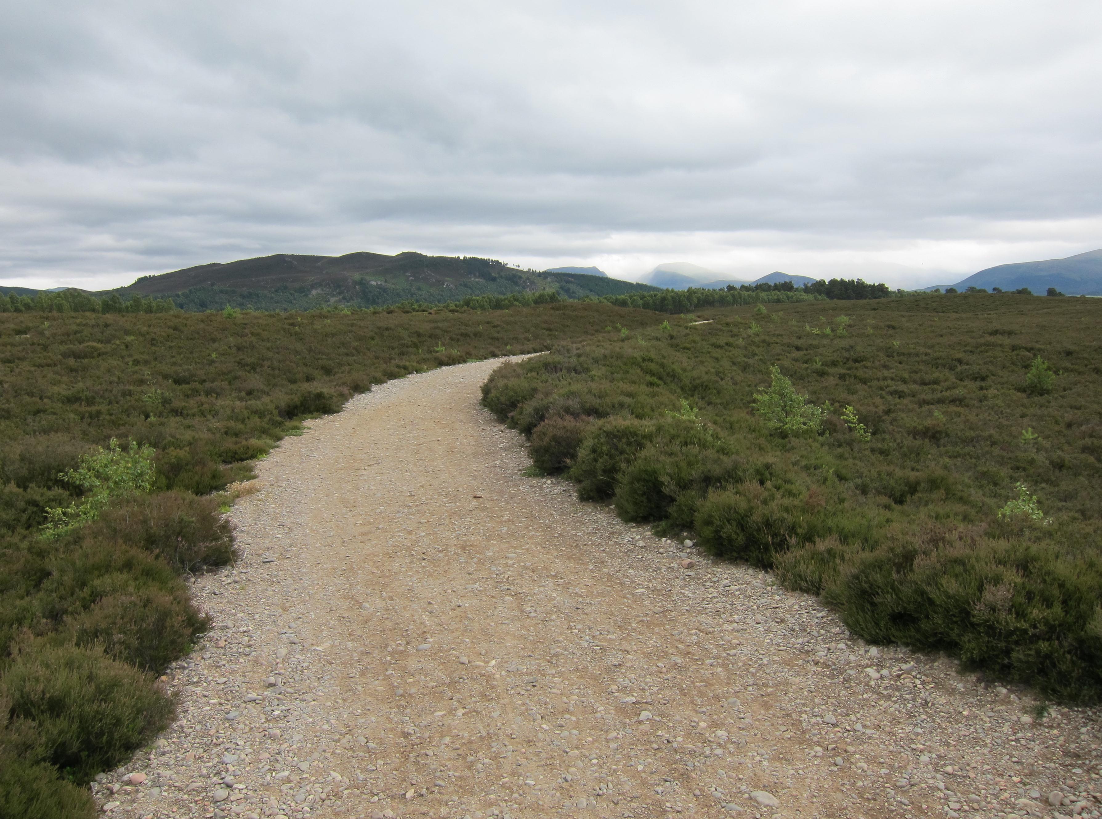 Across the heathery moorland between the railway line and Aviemore