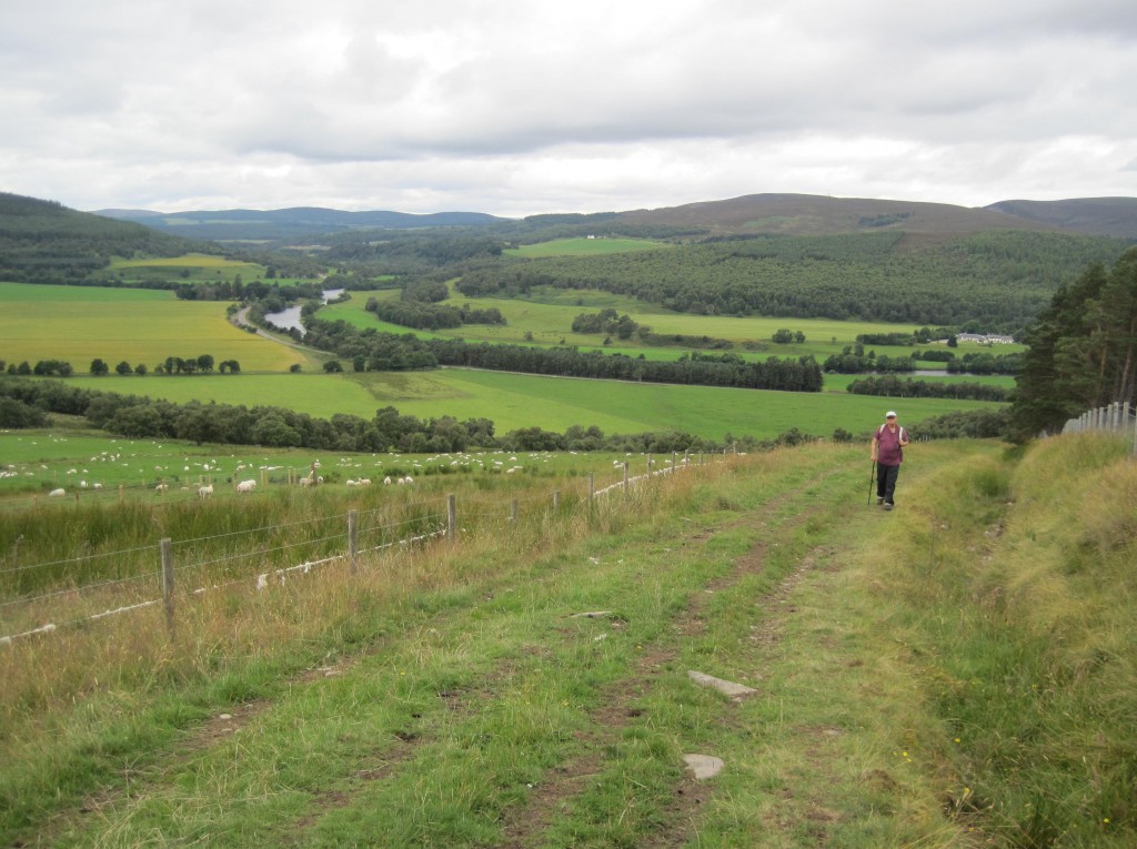 The stick was very useful to me as I began this ascent – after crossing the Burn of Coire Seillach footbridge.