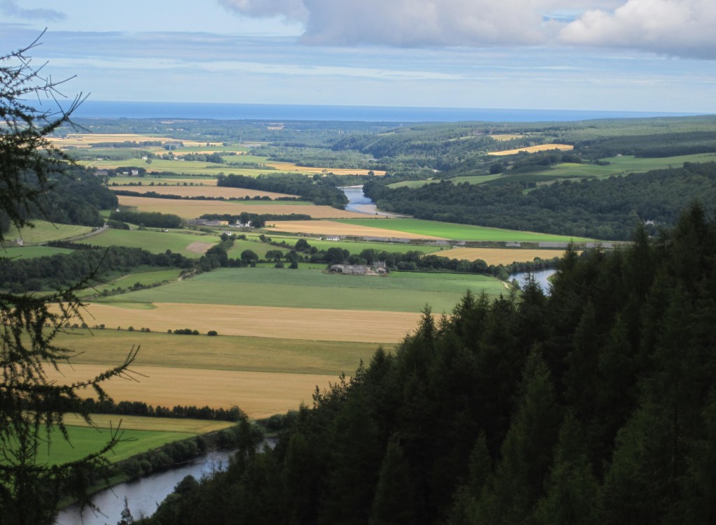 From the Craigellachie Forest to the sea