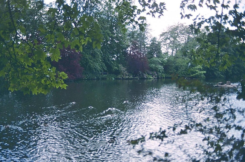 A lake in Marley Park