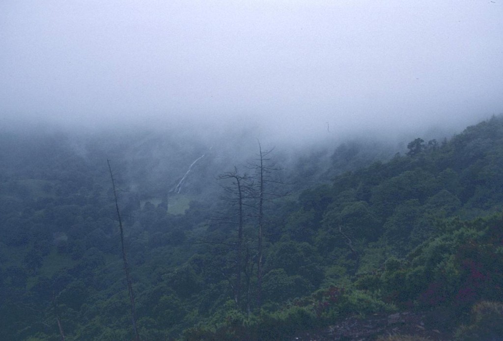 Hidden in the mist – Powerscourt Waterfall