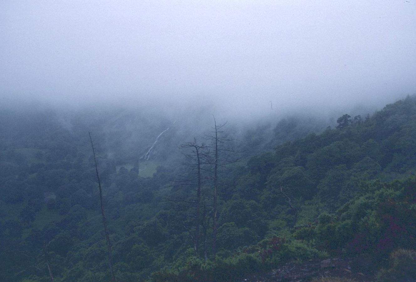 Hidden in the mist – Powerscourt Waterfall