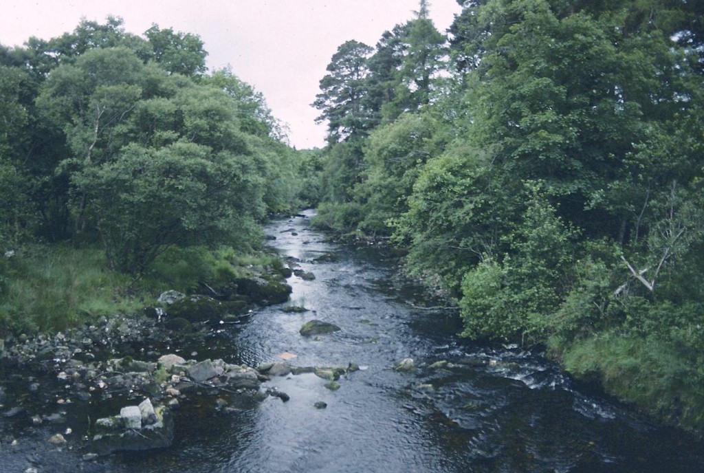 The Annamoe River from Old Bridge