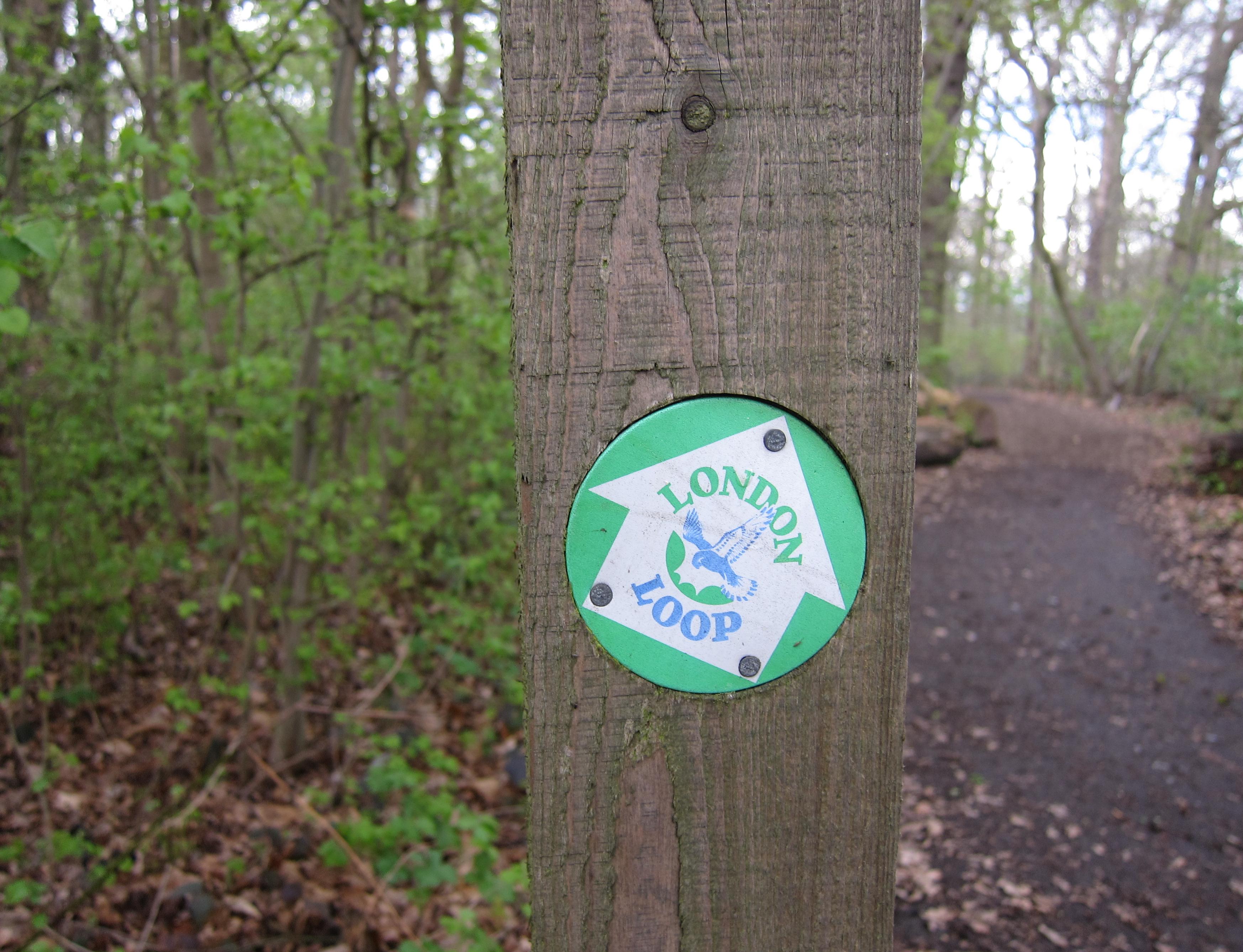An assurance that you are not lost…a LOOP waymark points the way.
