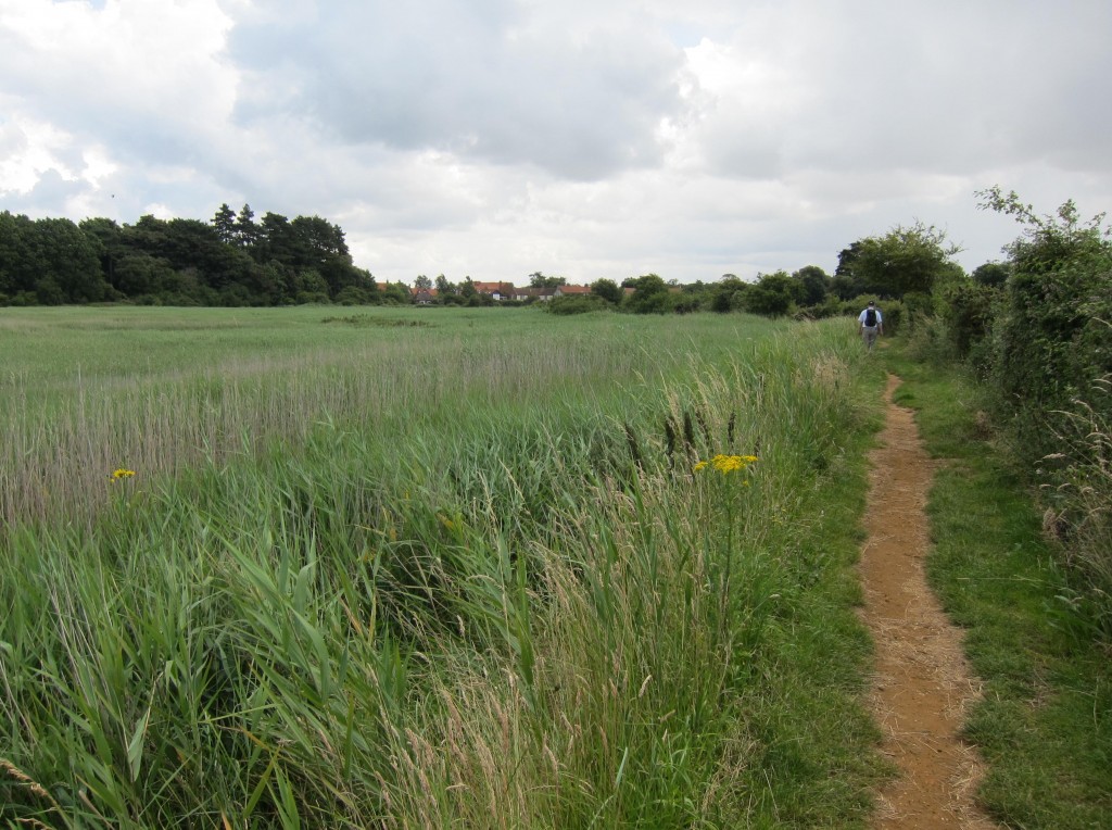 Gavan approaches our noontime village, Thornham.