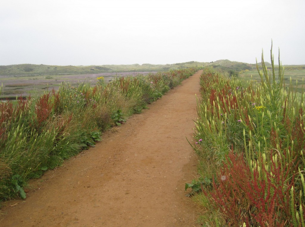 A long but easy path heads resolutely from Burnham Overy Staithe to the sea-edge dunes.