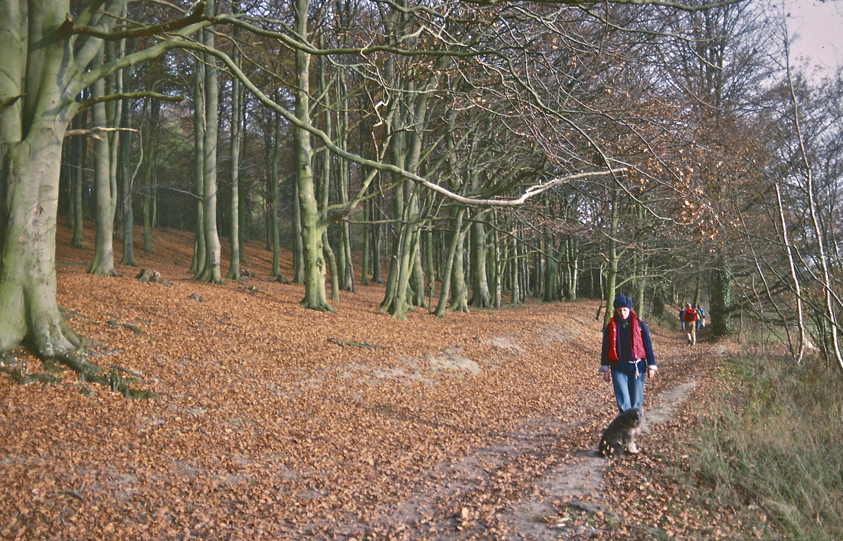 Dorothy and dog near Dunn Street