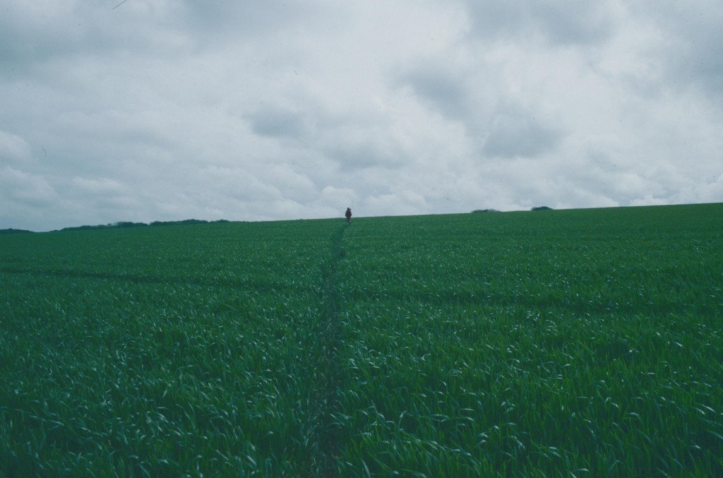 Between Sheperdswell and Coldren