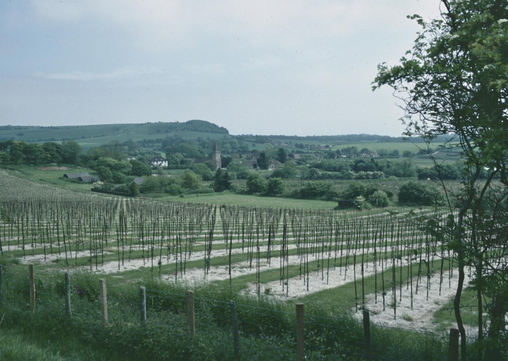 From this vantage point it is possible to see the church tower at Postling.