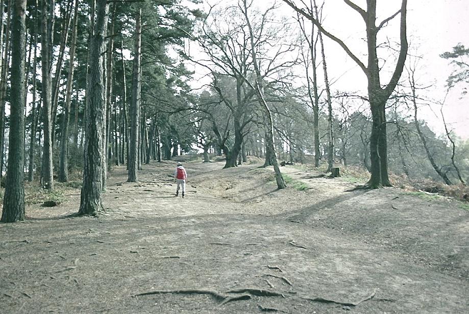 Dorothy climbs St. Martha’s Hill