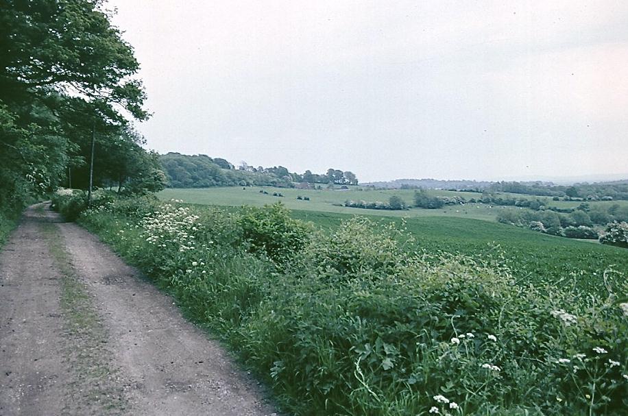 Near Gravelly Hill