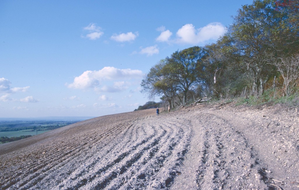 Above Thurnham